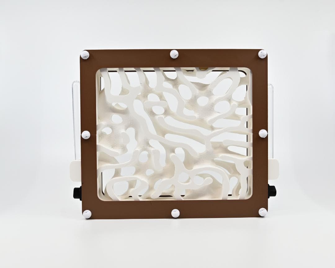 Hybrid Nest 2 side large I ・ガラスアリ飼育ケース