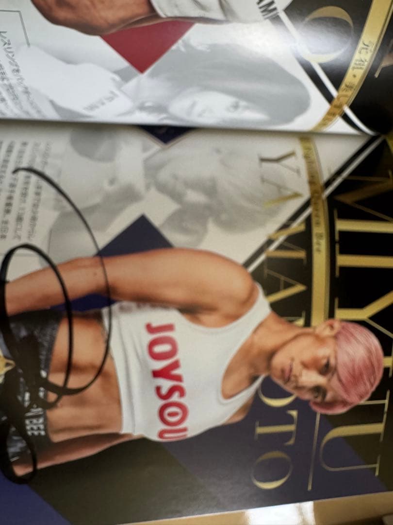 RIZIN 那須川天心 メイウェザー 戦 選手直筆サイン入り