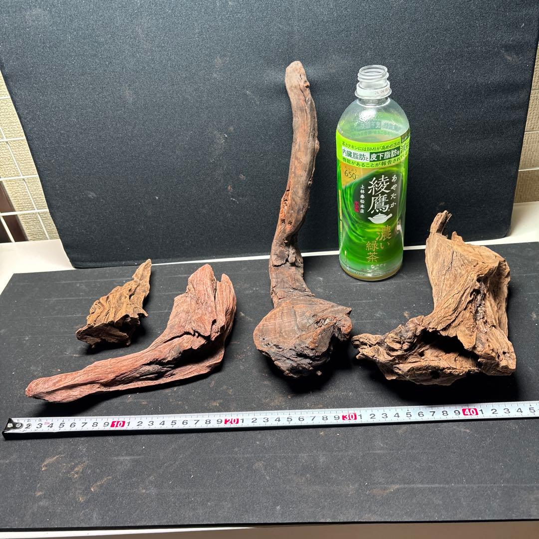 ADAホーンウッド9個