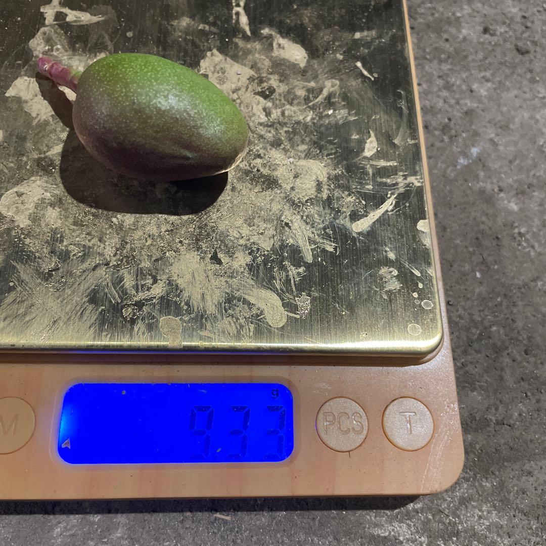 摘果マンゴー　8〜15g 10kg