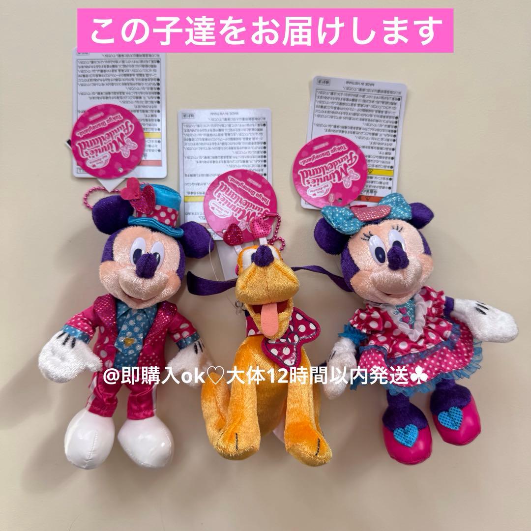 ミッキー ミニー プルート 3個セット ぬいぐるみバッジ パルパルーザ