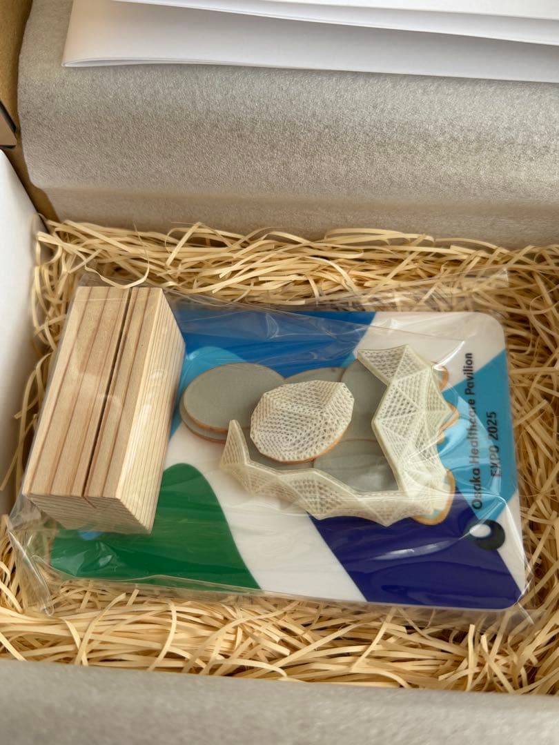 レア！　1点のみ　ヘルスケアパビリオンの3d模型　万博　Expo 2025