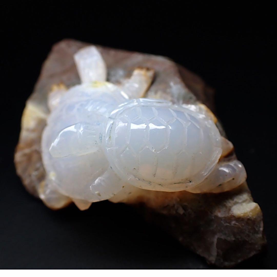 【オーストラリア産】オパールカービング(親子亀モチーフ)