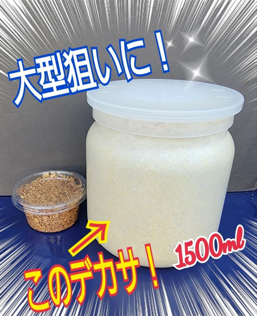 極上！ヒマラヤひらたけ菌糸瓶☆特大1500ml【6本】トレハロース強化配合！