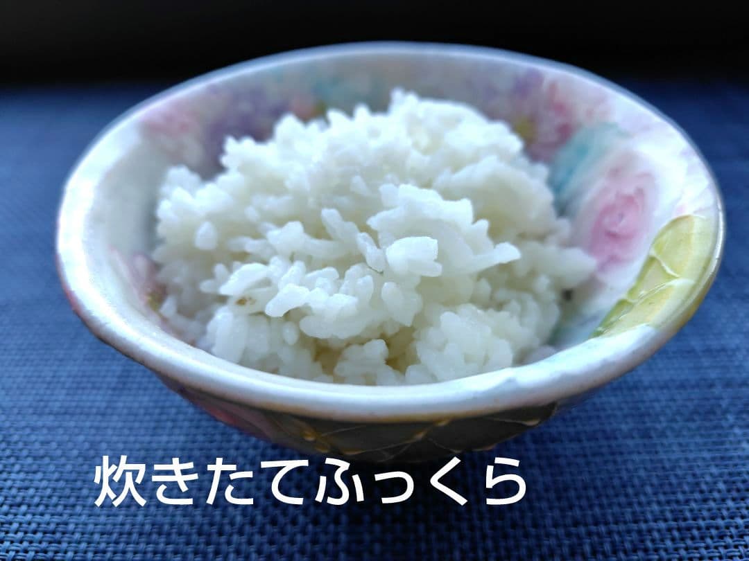 鳥取県産　コシヒカリ　玄米　減農薬10kg