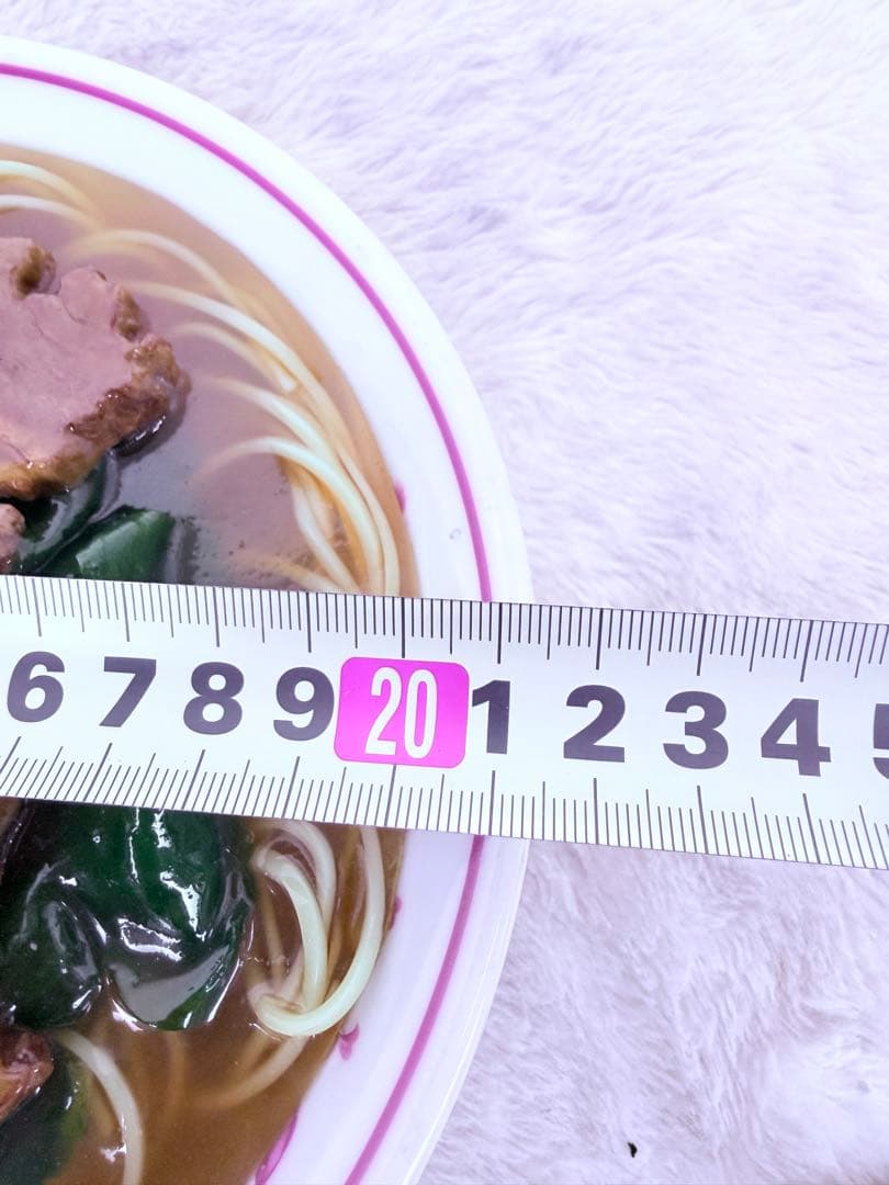 貴重♪食品サンプル スタミナラーメン 直径約21.5cm 昭和町中華