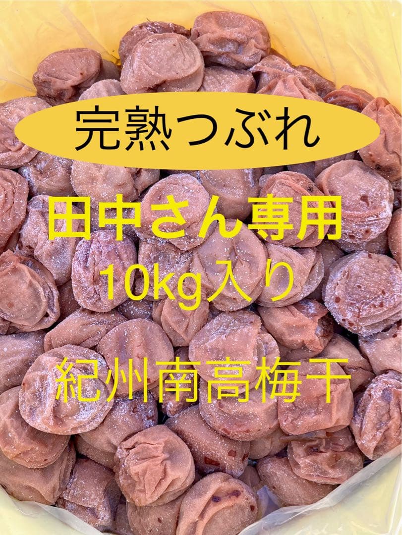 完熟つぶれ梅干　白干し　無選別　無添加　10kg入り　（田中さん専用)