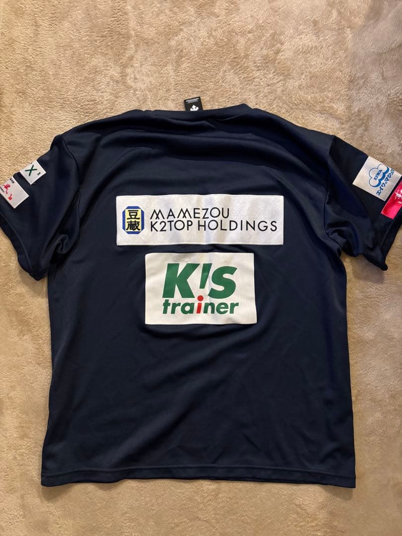 Chuo Univ. バレーボールチームシャツ DESCENTE サイズO