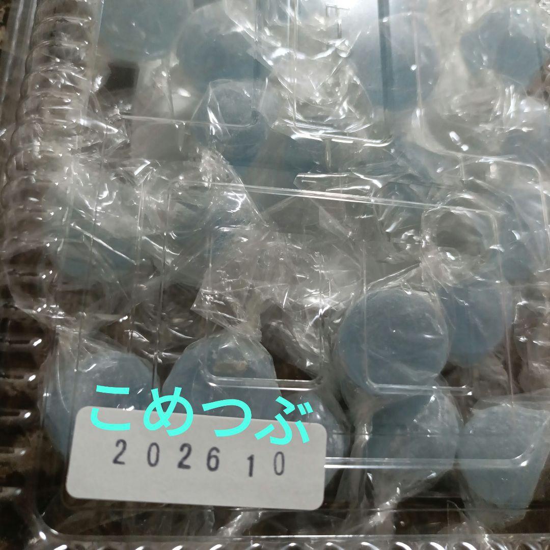 元祖ムラマツ製菓☘️我☘️ラムネボンボン☘️未開封