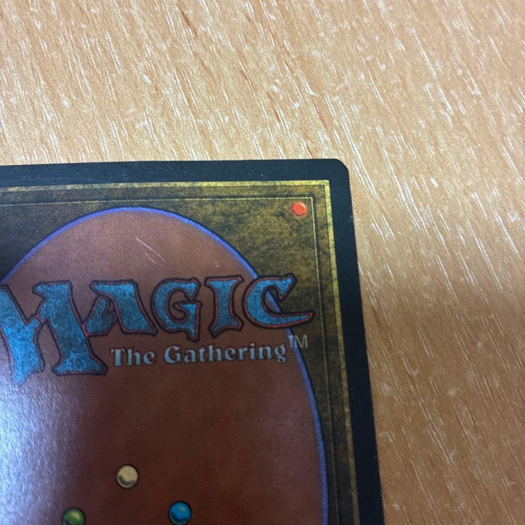 MTG Tropical  英語