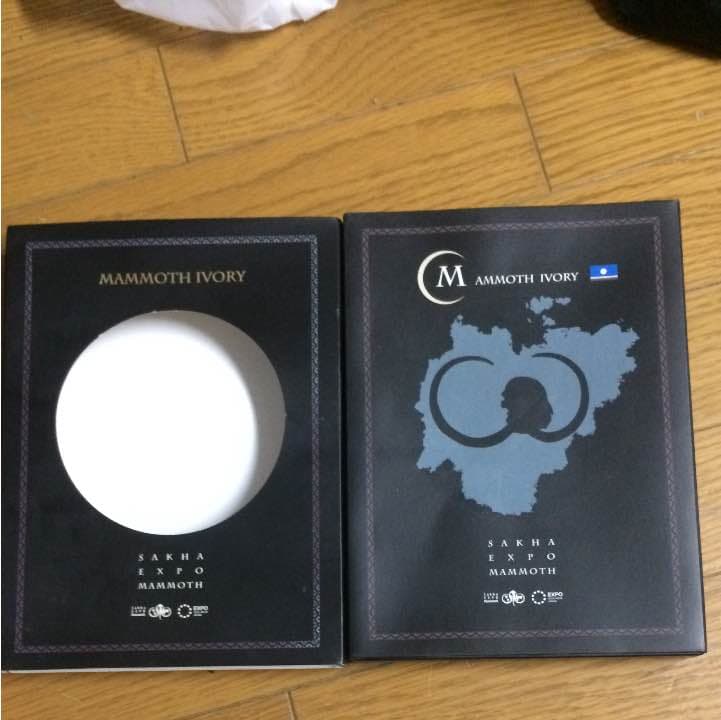 ☆マンモスの牙の化石☆