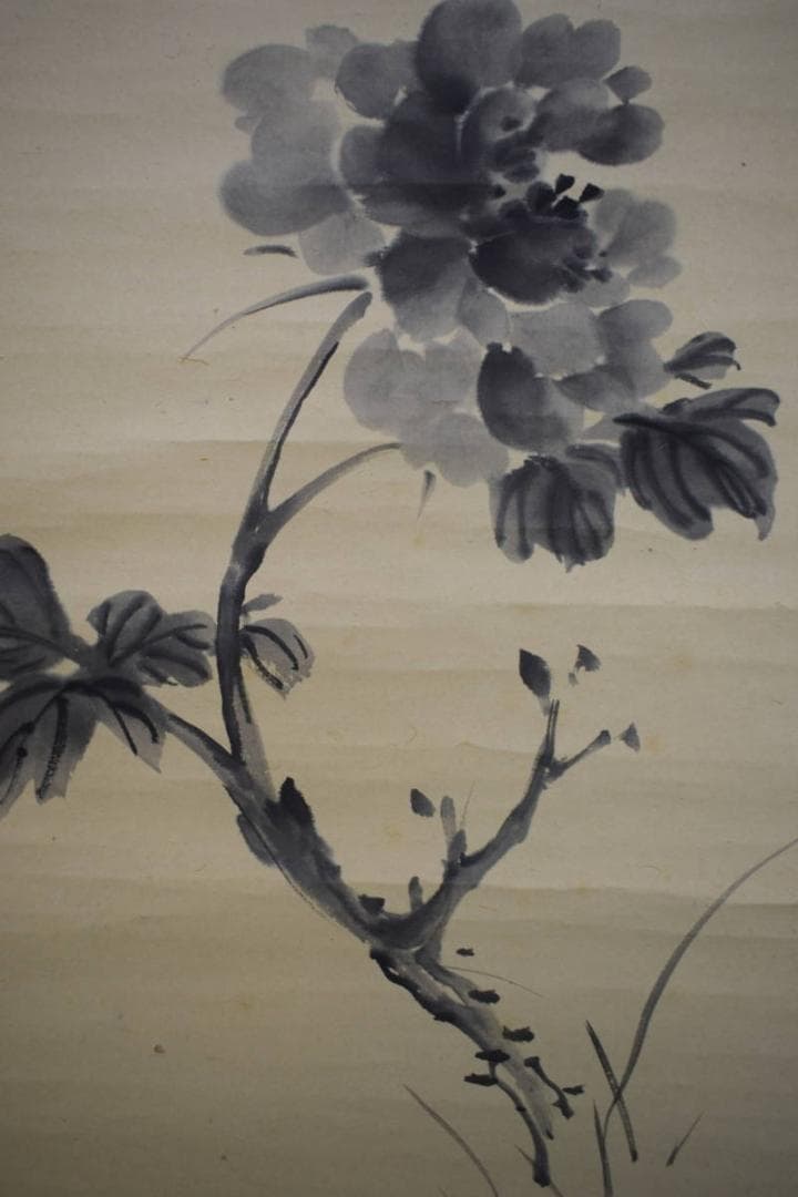 模写/渡辺崋山/渡辺華山/花画賛/菊画賛/布袋屋掛軸HJ-986