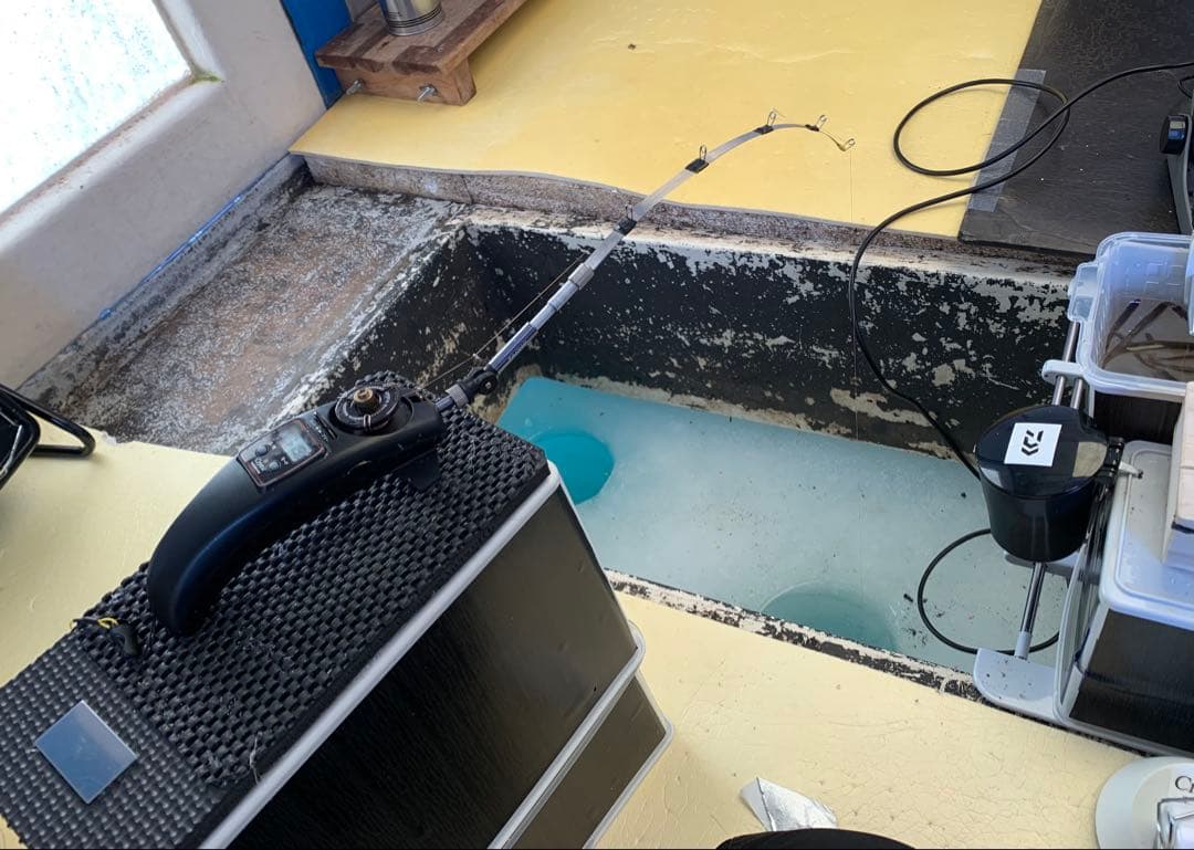 オススメ　氷上ワカサギ釣り　ステンレス穂先　２本　　250ミリ