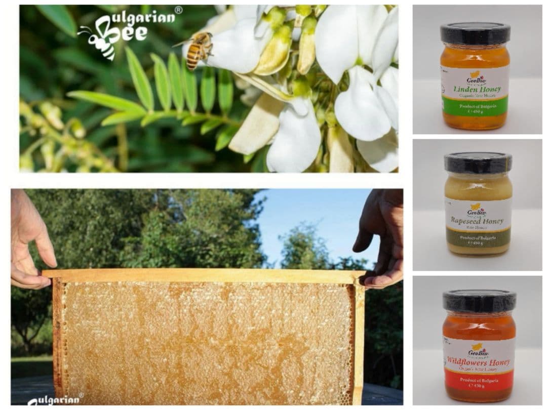 バルボア24個EU認定オーガニック リンデン巣蜜 350g.ブルガリア産