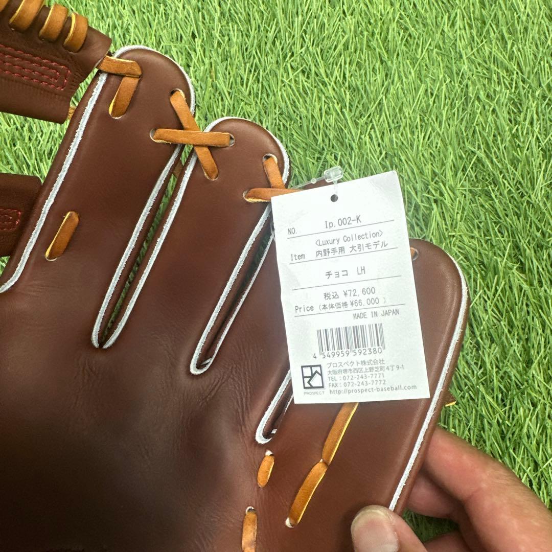 IPセレクト　大引モデル