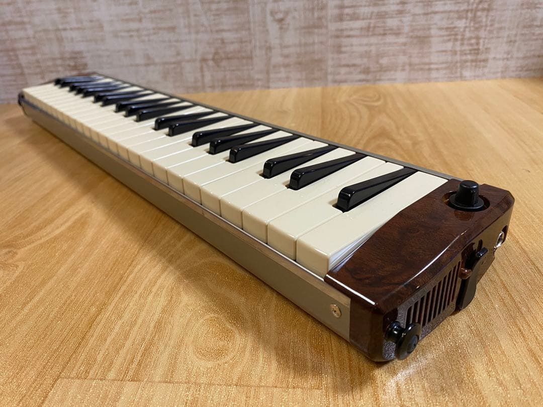 HAMMOND ハモンド PRO-44H 鍵盤ハーモニカ (ケース付き)