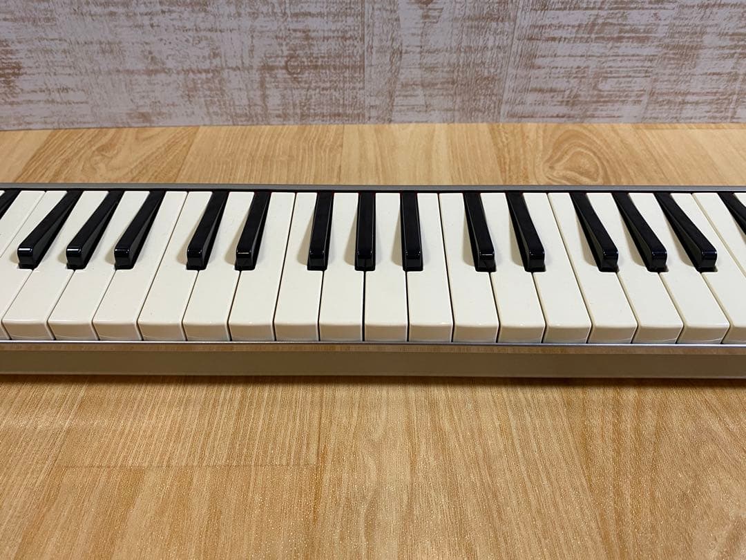 HAMMOND ハモンド PRO-44H 鍵盤ハーモニカ (ケース付き)