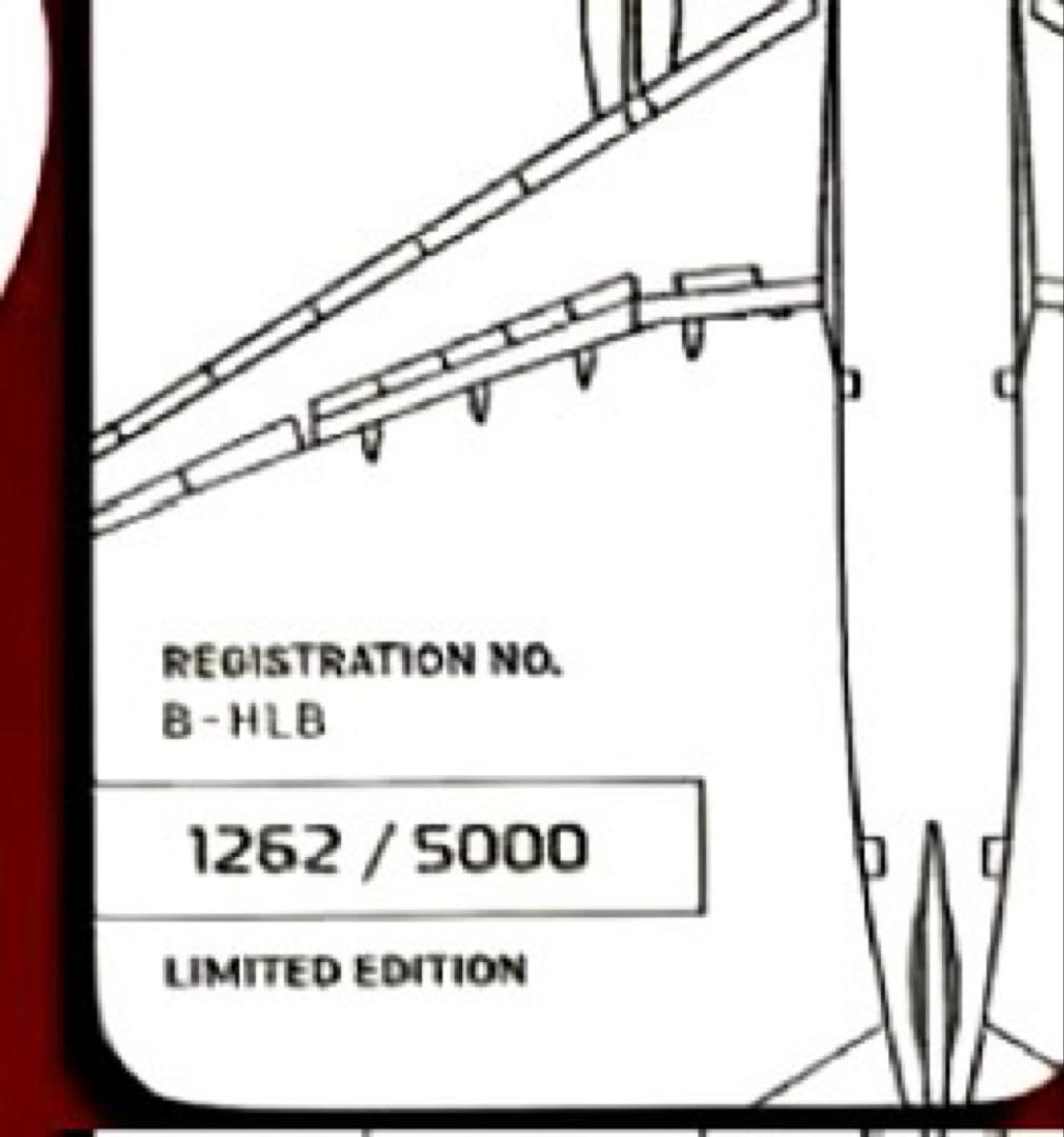 【レア品•Aviation】キャセイ ドラゴン　B-HLB 実機スキンタグ
