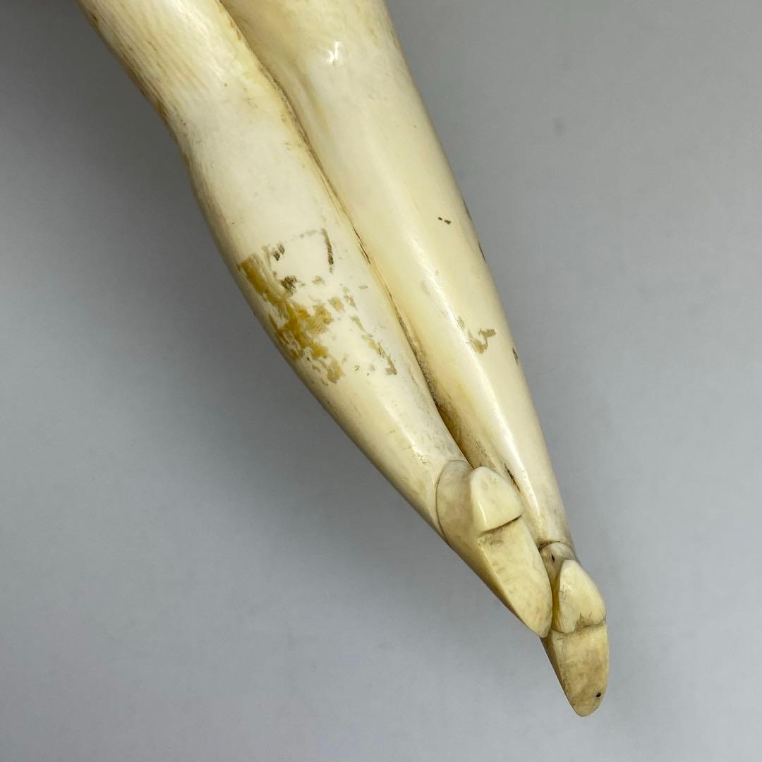 中国清時代 極上 裸姉 403g 東キ7-1004☆2F トニカ