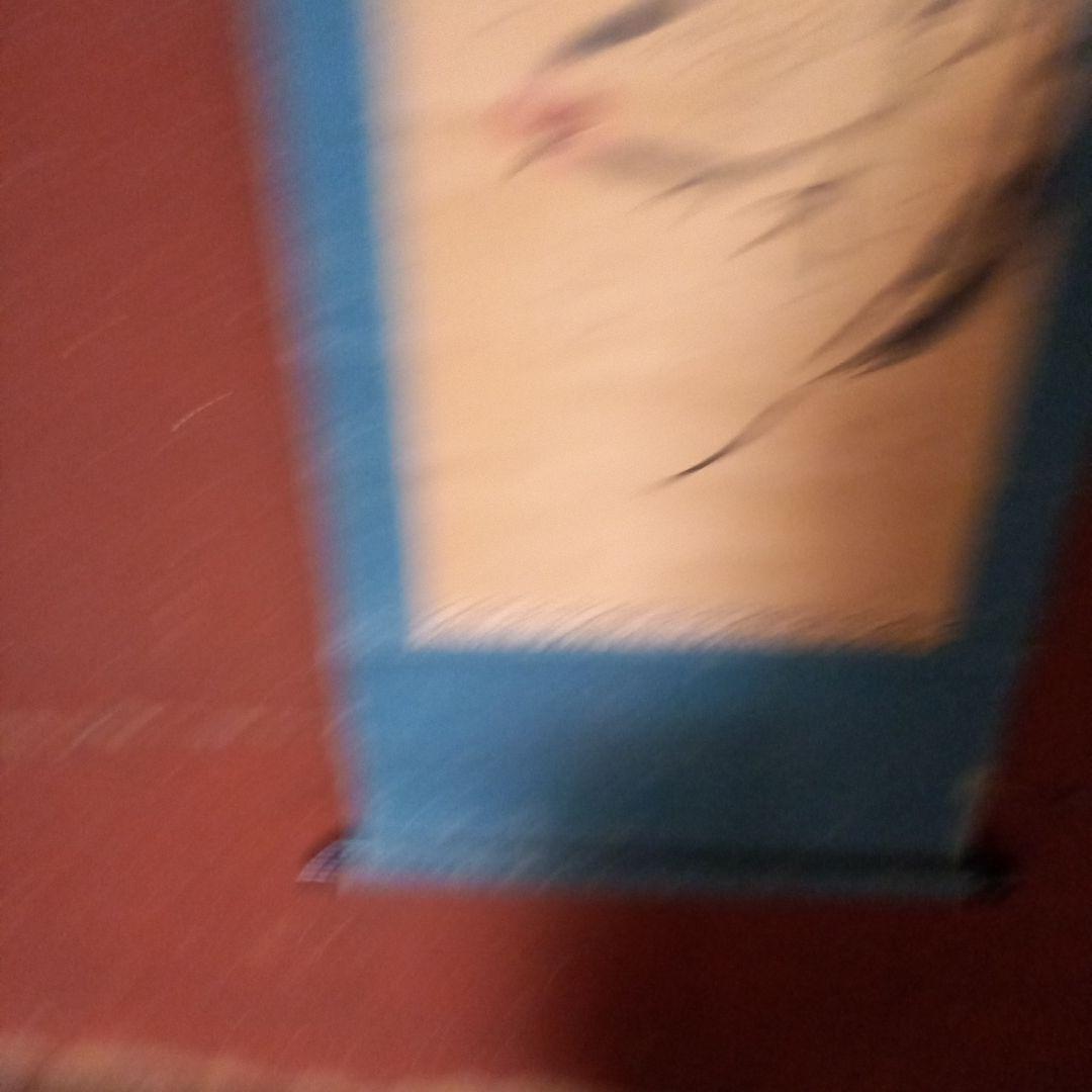 掛軸　希少　コレクション　古物　鶏