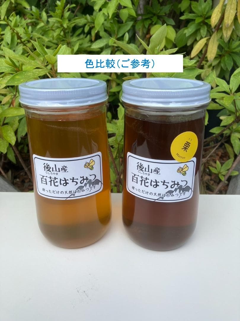 【完売間近】 山栗 百花蜜 1000g 2本 セイヨウミツバチ 栗蜜 国産蜂蜜