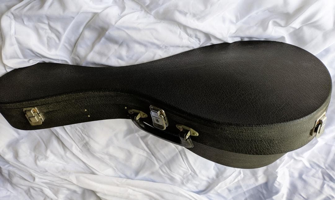 ✨SUZUKI M-30 木製 8弦マンドリン 本体 ＋ 専用ハードケース付き✨