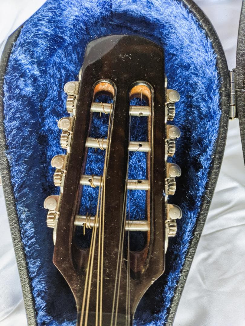 ✨SUZUKI M-30 木製 8弦マンドリン 本体 ＋ 専用ハードケース付き✨