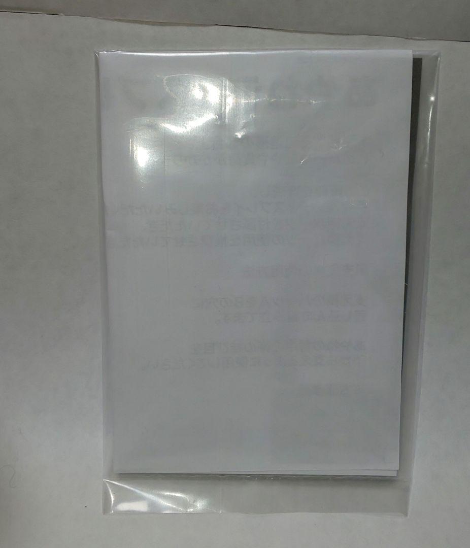 あやね DEAD OR ALIVE フィギュア