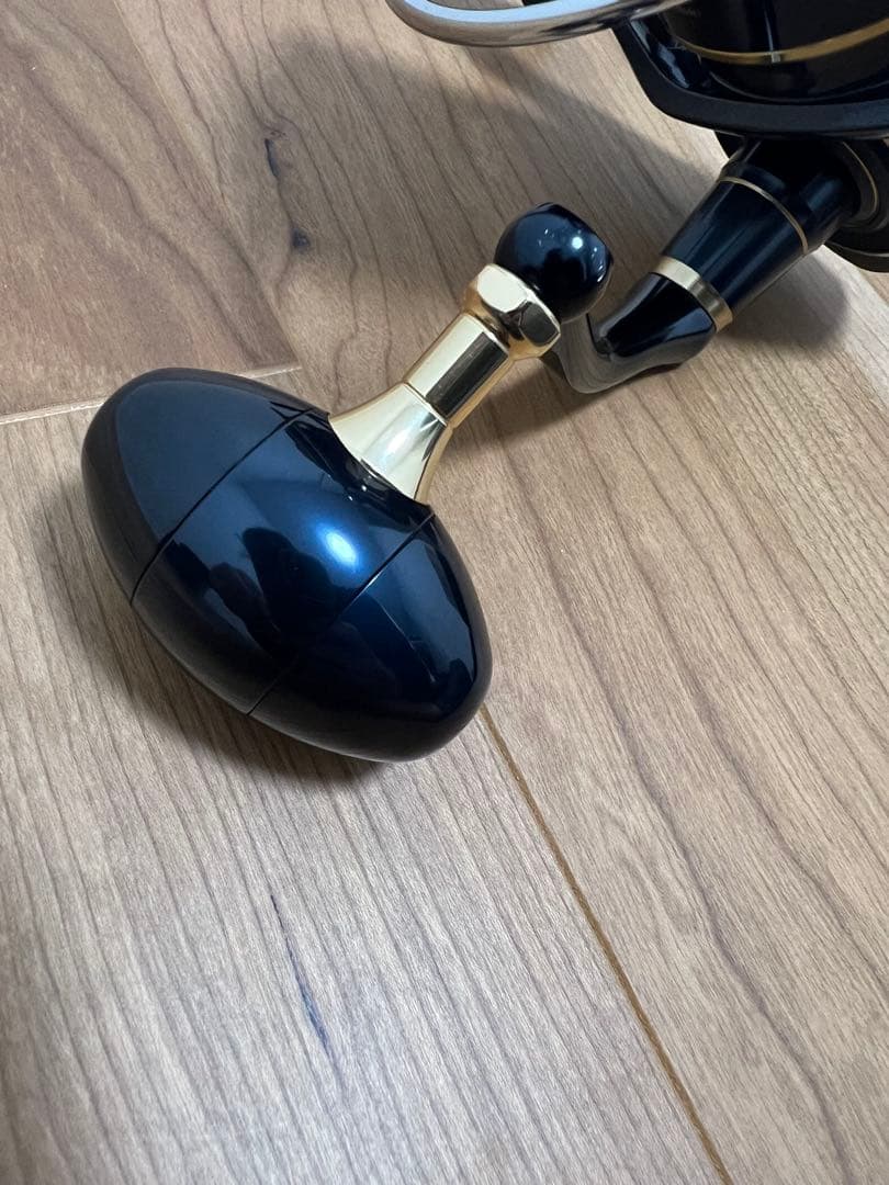 ダイワ　20ソルティガ　10000-H