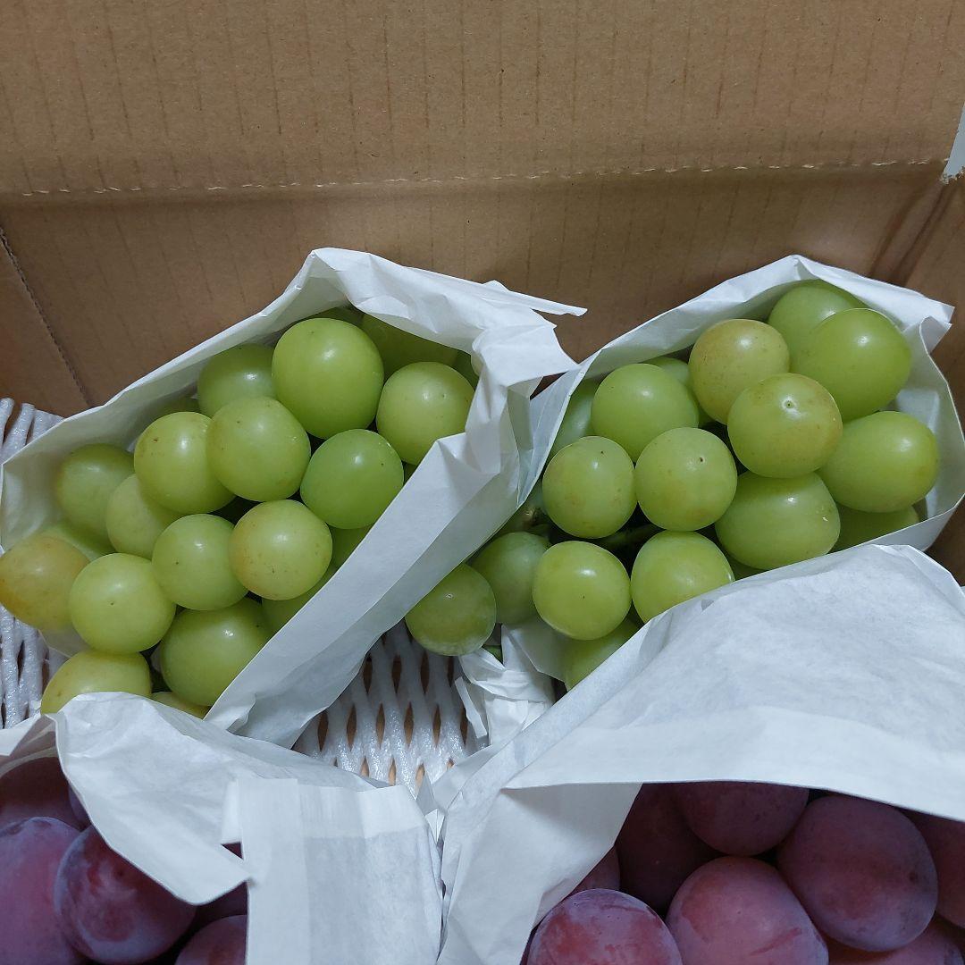 新鮮ぶどう詰め合わせシャイン　巨峰　クインニーナ　（緑・紫・黒）4キロ