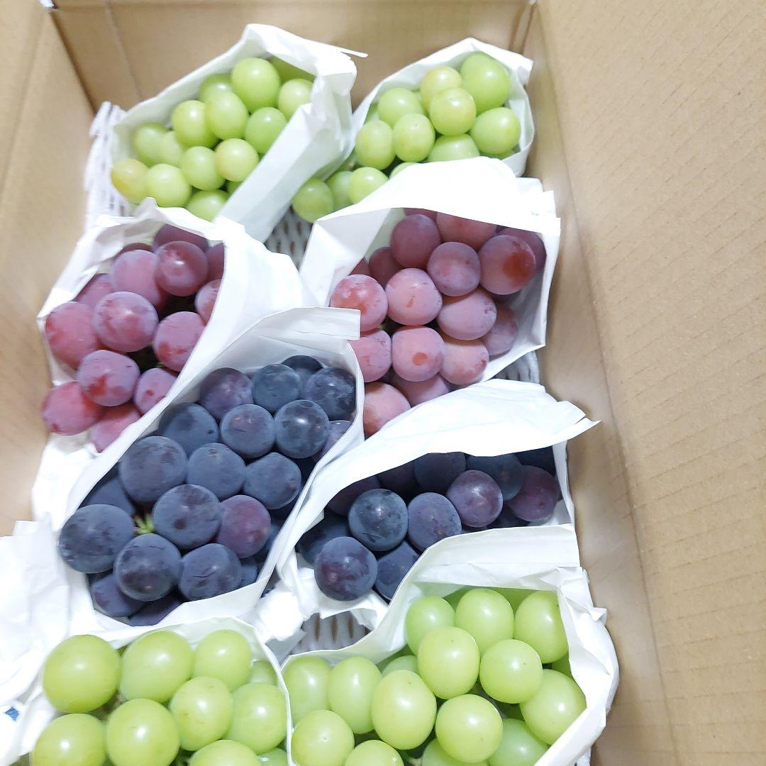 新鮮ぶどう詰め合わせシャイン　巨峰　クインニーナ　（緑・紫・黒）4キロ