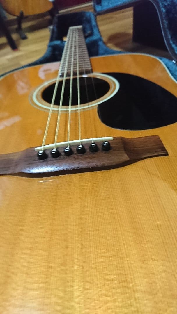 矢入　ヤイリ　yairi RAY-601