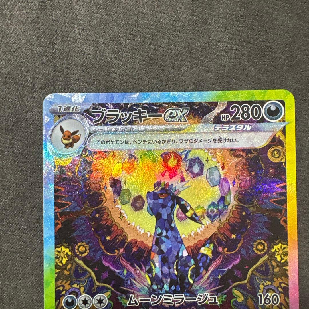 ブラッキーex sar テラスタルフェス