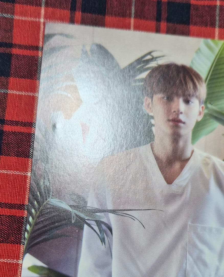 SEVENTEEN セブチ ミンギュ ポストカード TSUTAYA特典