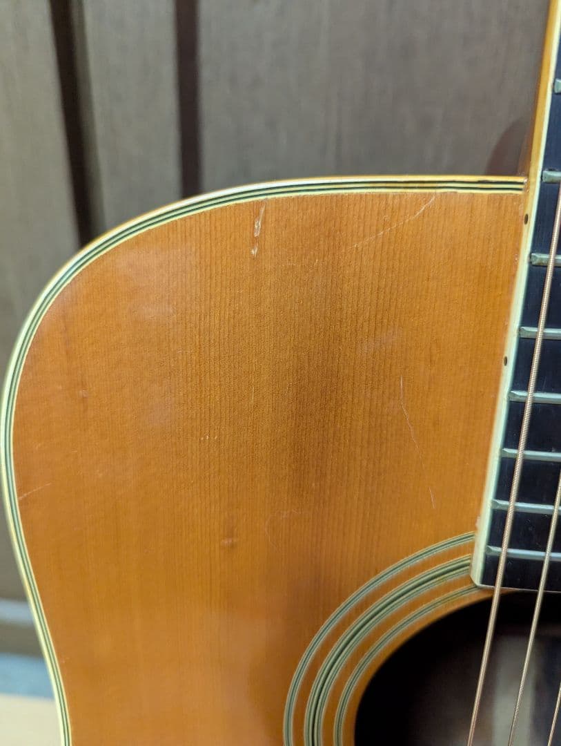 ♪Aria W-350・ハカランダ・トップ単板?♪