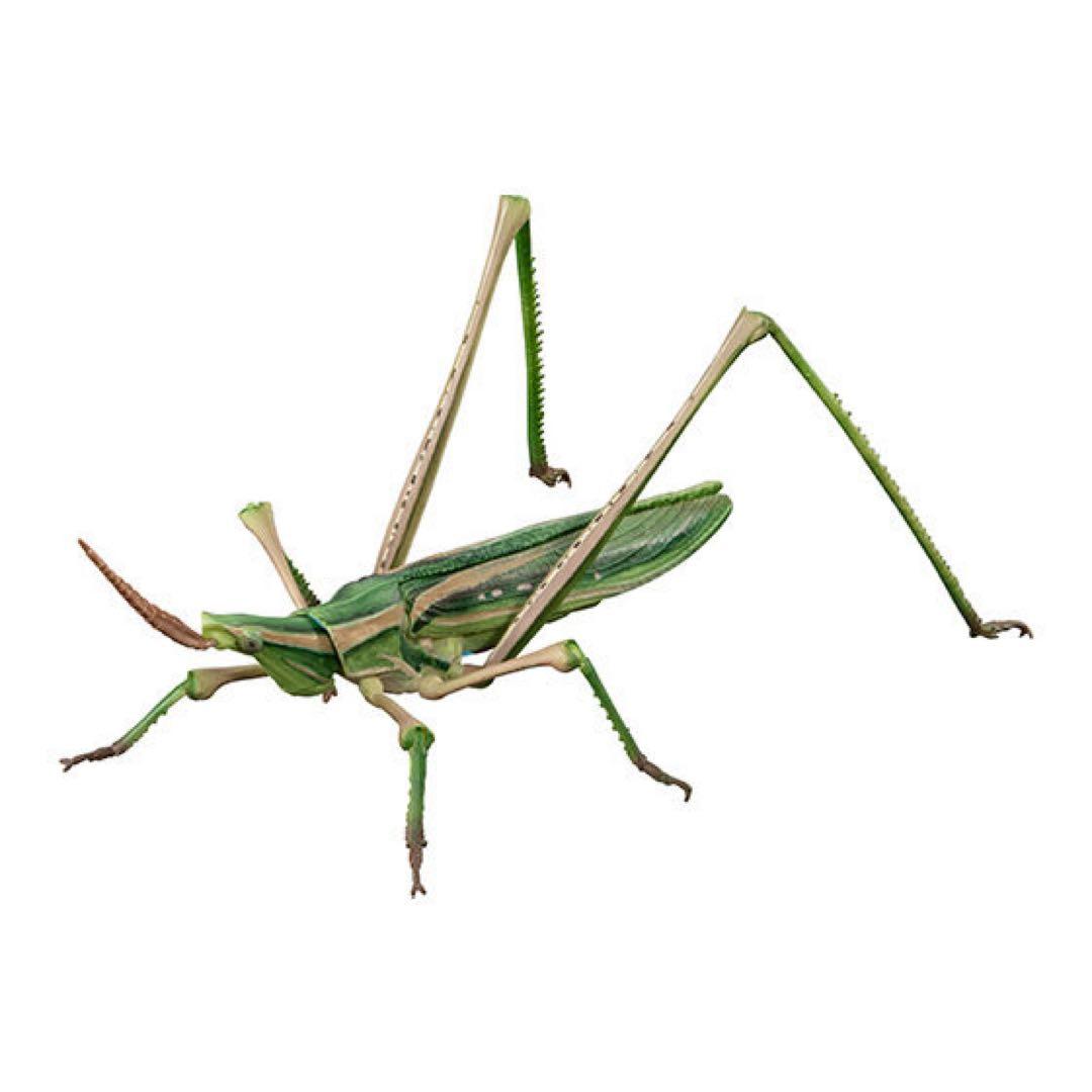 いきもの大図鑑アドバンス オオカマキリとショウリョウバッタ 全４種 カプセル A