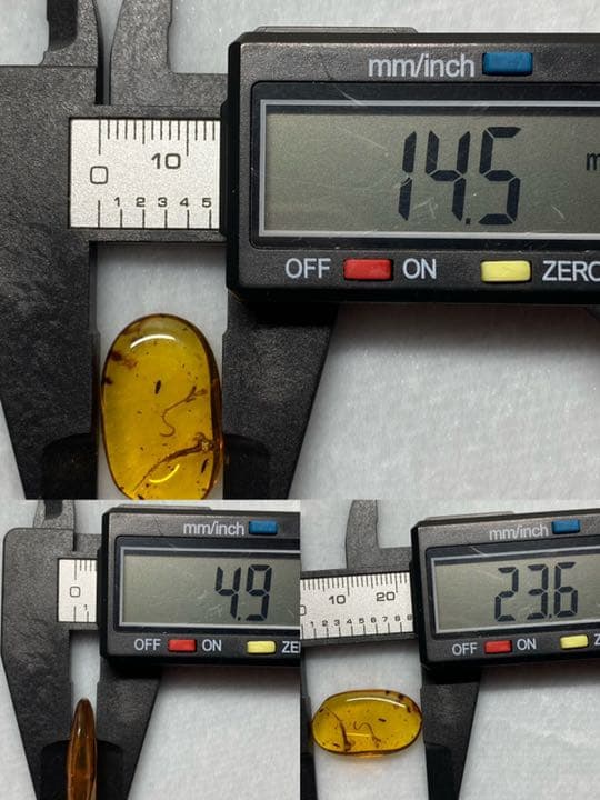 琥珀 虫入り 天然 アンバー  罕石卵  天然石  ムカデ 百足  甲虫