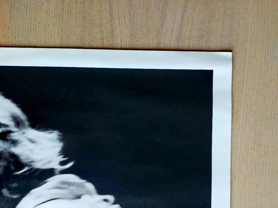 NIRVANA ポスター