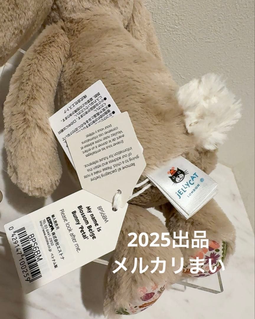  Blossom Beige Bunny 'Petal' （S）