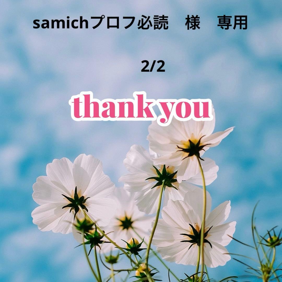 samichプロフ必読　　　2/2