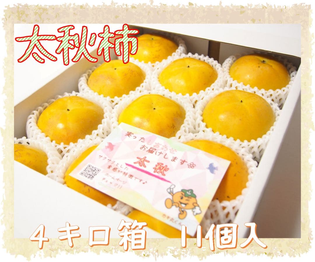 【太秋柿】4キロ箱7個入１箱　11個入２箱