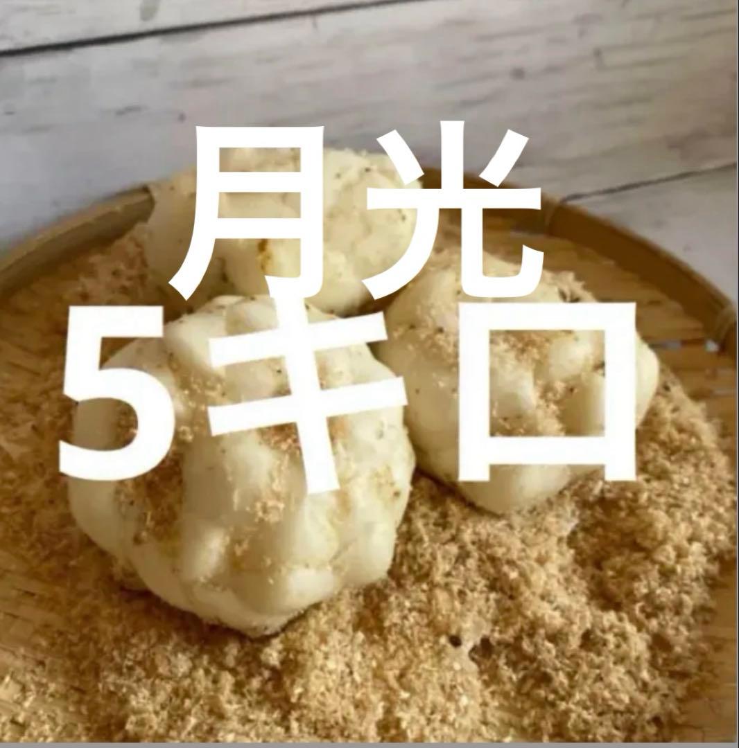 令和7年度 月光北海道十勝産規格外ゆり根5キロ