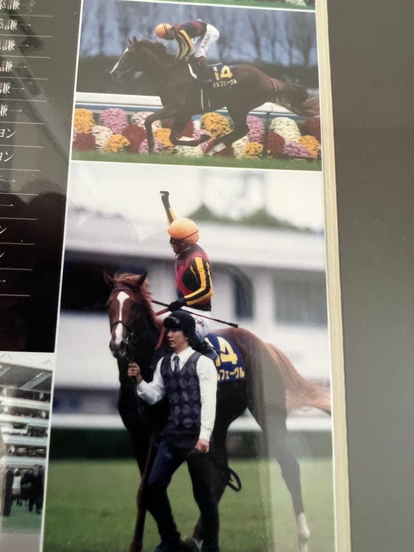 ☆競馬☆　ORFEVRE　オルフェーヴル　三冠馬　 記念パネル　池添謙一騎手