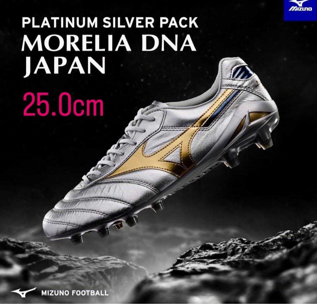 ミズノ モレリアdna モレリアDNA Morelia DNA 25.0cm