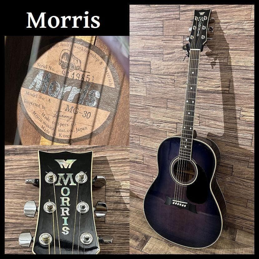 希少カラー パープルサンバースト モーリス MG-30 アコースティック ギター