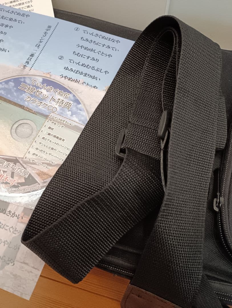 三線沖縄初心者フルセットケースBEGIN三線曲集付き