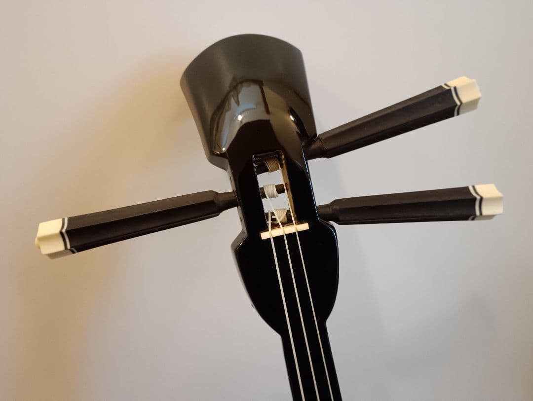 三線沖縄初心者フルセットケースBEGIN三線曲集付き