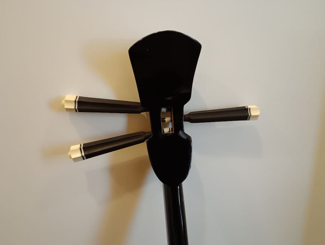 三線沖縄初心者フルセットケースBEGIN三線曲集付き