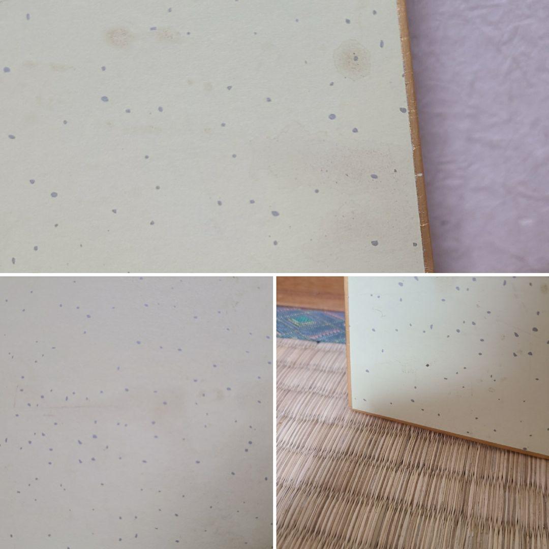 真作　松本零士　サイン　直筆サイン　イラスト　星野鉄郎　メーテル