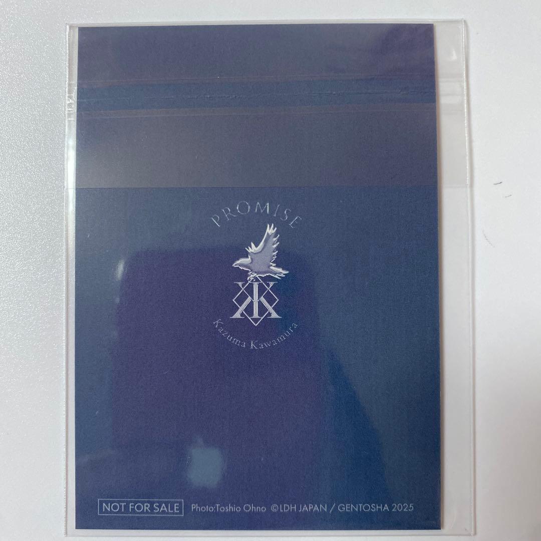 ち*ん様 THE RAMPAGE 川村壱馬　セブンネット　PROMISE 特典ト